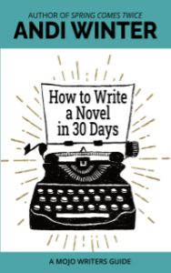 "How to Write a Novel in 30 Days" cover